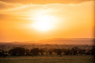Zonsondergang op de Serengeti van Sascha Bakker