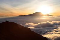 Kilimanjaro