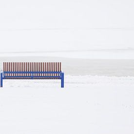 Blauwe bank in de winter van Ton Hazewinkel