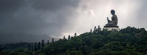 Imposant groot Boeddha beeld op Lantau eiland in Hong Kong