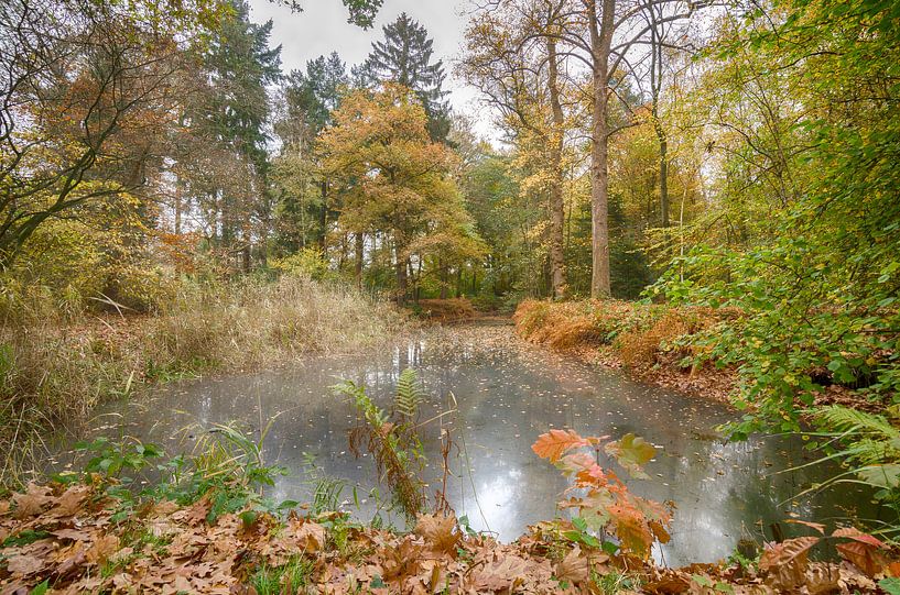 L'automne aux Pays-Bas par Mark Bolijn