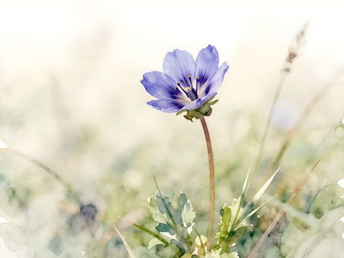 Teder blauw wild bloemetje