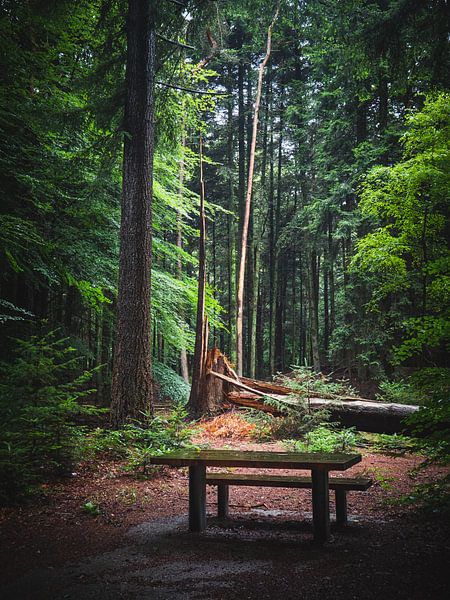 de toekomst van snippefotografie