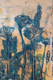 Un jardin estival, 2e partie sur Evelien van der West
