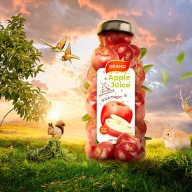 Apple juice bottle in nature by Bert Hooijer