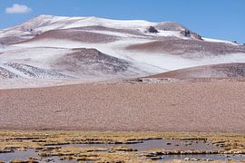 Discover the Enchanting Beauty of San Pedro de Atacama: A Stunning Glimpse of Chile's Hidden Gem by Eriks Photoshop