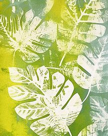 Grüne Geheimnisse von Color Square