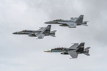 Formatie met 2 F/A-18 Hornets en 1 EA-18 Growler.