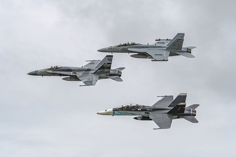 Formation with 2 F/A-18 Hornets and 1 EA-18 Growler. by Jaap van den Berg