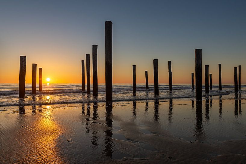 Palendorp Petten by Jaco Verheul
