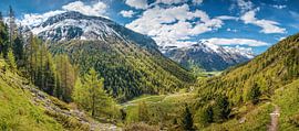 Knuttental in spring, Rein in Taufers, Tauferer Ahrntal, South Tyrol by Christian Müringer