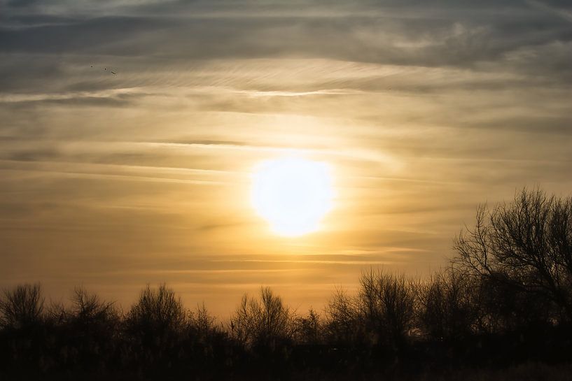 Sunset over the dunes by Faucon Alexis
