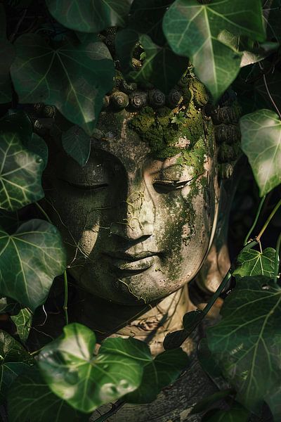 Buddha inmitten von Pflanzen von Poster Art Shop