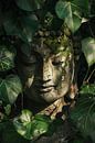 Buddha inmitten von Pflanzen von Poster Art Shop Miniaturansicht