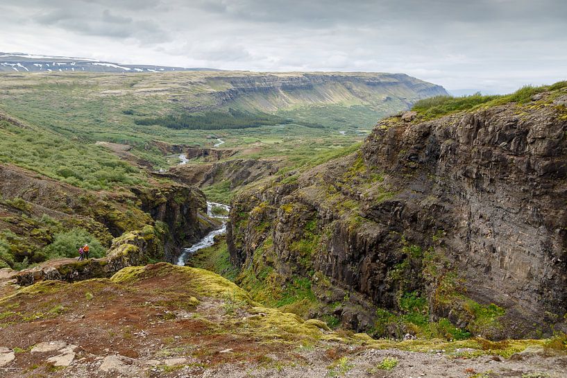 IJslands landschap gezien vanaf de waterval Glymur van Menno Schaefer