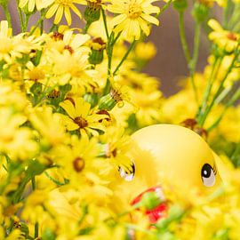 Der gelbe Denker von Diana Kors