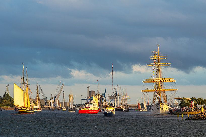 Sailing ships on the Neuer Strom during the Hanse Sail in Rost by Rico Ködder