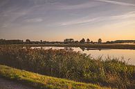 Zonsopgang met zicht op water en groen in Natuurreservaat Bourgoyen - Ossemeersen, Gent, België van Daan Duvillier | Regio in de Kijker thumbnail