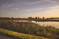 Zonsopgang met zicht op water en groen in Natuurreservaat Bourgoyen - Ossemeersen, Gent, België