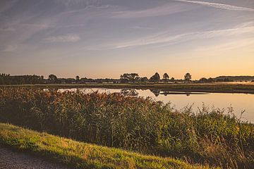 Zonsopgang met zicht op water en groen in Natuurreservaat Bourgoyen - Ossemeersen, Gent, België van Daan Duvillier | Dsquared Photography