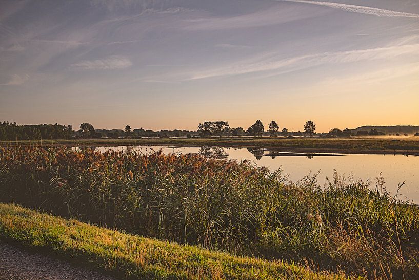 Zonsopgang met zicht op water en groen in Natuurreservaat Bourgoyen - Ossemeersen, Gent, België van Daan Duvillier | Regio in de Kijker