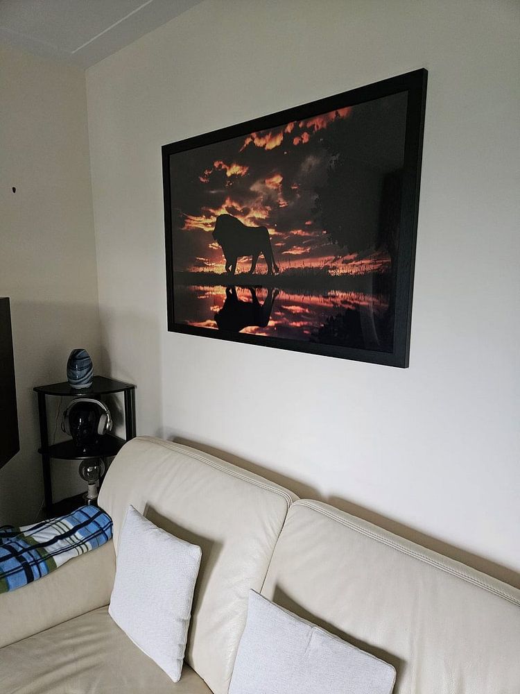 Eine Silhouette eines Löwen im Sonnenuntergang. von Bert Hooijer