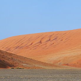 Ochtend in Sossusvlei von margreet van vliet