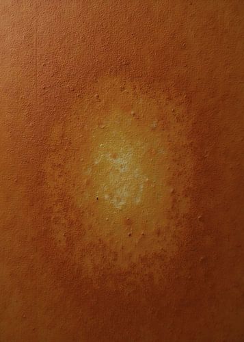 TW living -Studio loft - rust 3