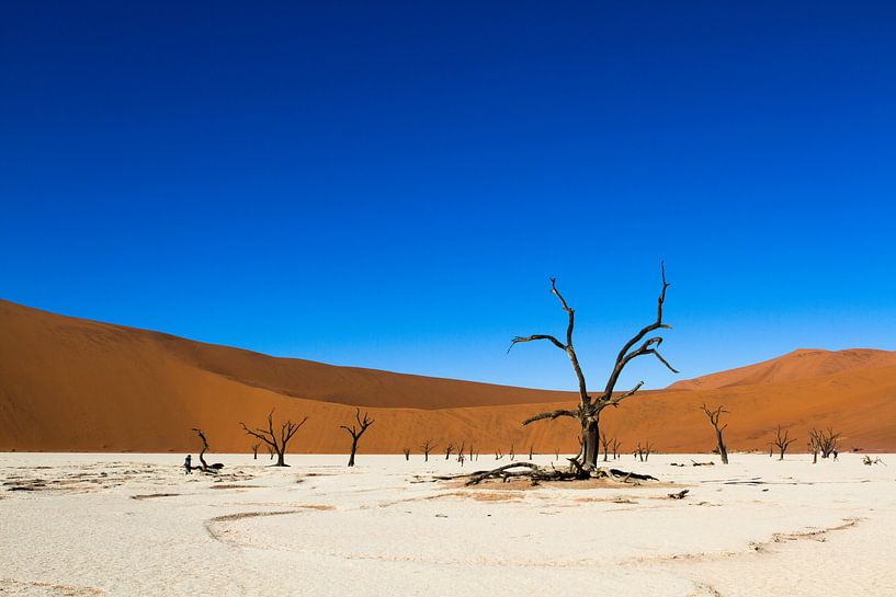 Deadvlei - landschap in Namibie van Frans Gesell