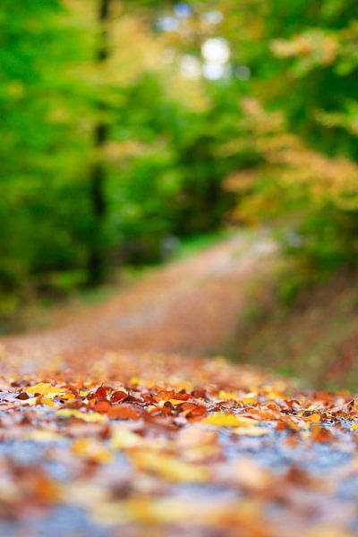 Goldener Oktober von Thomas Jäger