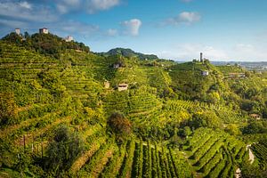 Antike Türme und Kirche inmitten der Prosecco-Weinberge