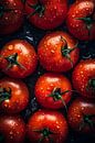 Tomatoes by drdigitaldesign thumbnail