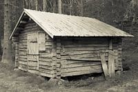Oude schuur (Sepia)