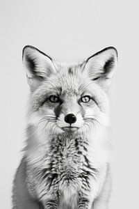 Fuchs