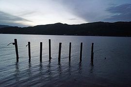 Stakes in the lake.