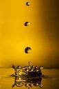 Krone in Gold von Thomas Riess Miniaturansicht