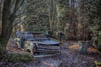 Opel Kadett in het bos