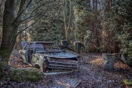 Opel Kadett in het bos von Manja van der Heijden