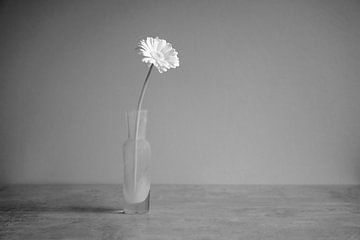 infrarood zwartwit bloem in potje van Joris Buijs Fotografie