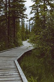 Promenade de Canmore