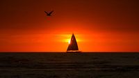 Sail Away