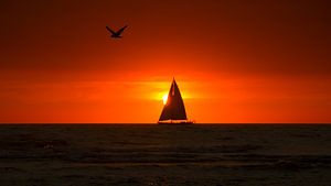 Sail Away by Nico Zwanenburg