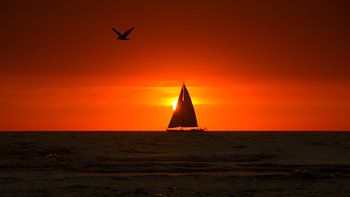 Sail Away