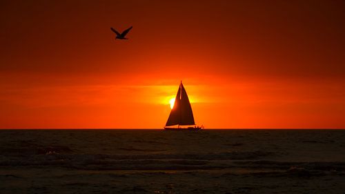 Sail Away by Nico Zwanenburg