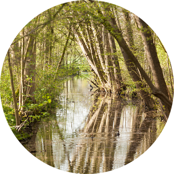 Voorjaar in Amelisweerd