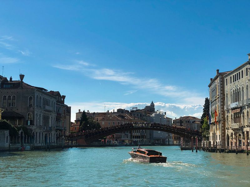Venice by Hello Pompoyo