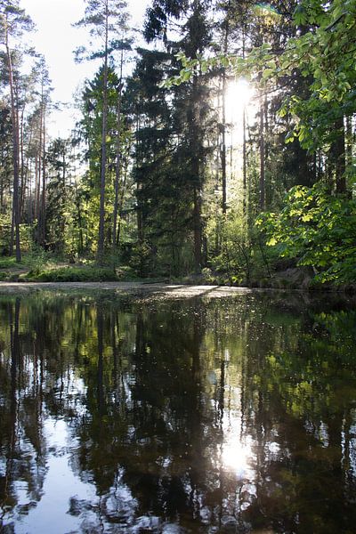 Meer portret shot by jorrit Verduijn