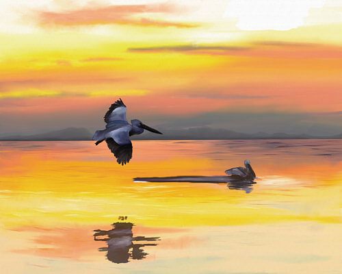 Oceaan bij zonsondergang met twee zeevogels