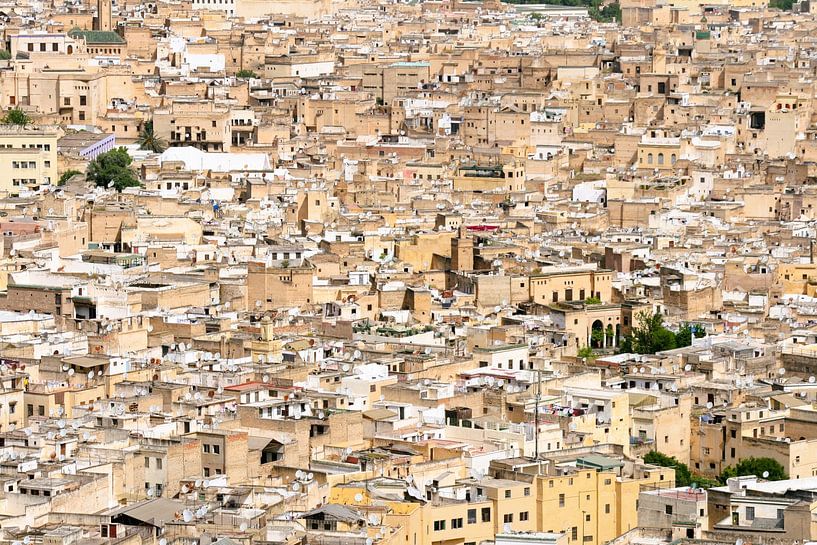 Fez in Morocco by Gert-Jan Siesling