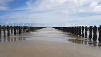 Mussel farm